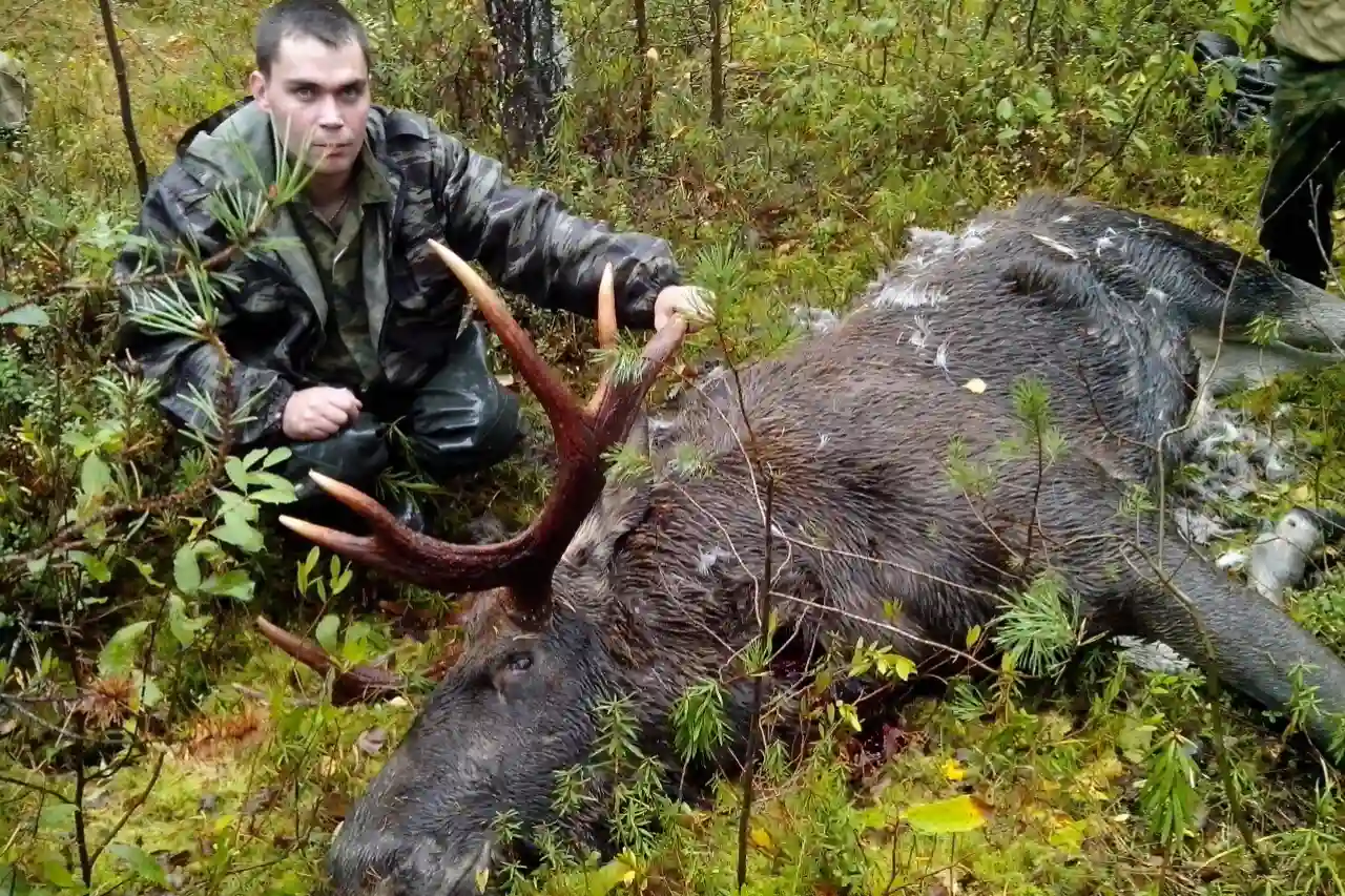 Охота на птицу и лося